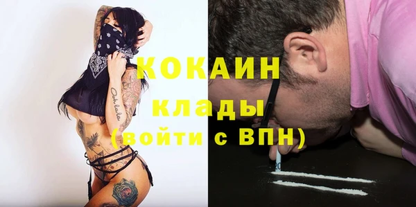 дурь Новодвинск