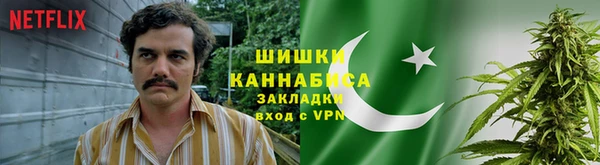 дурь Новодвинск