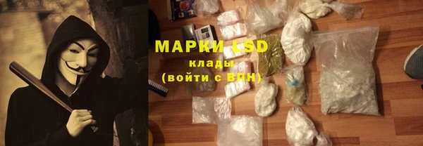 дурь Новодвинск