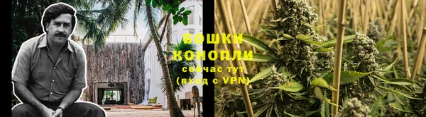 дурь Новодвинск