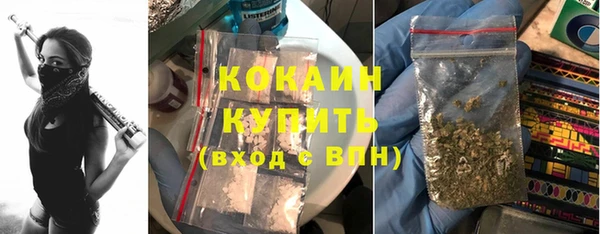 молекула духа Новокубанск
